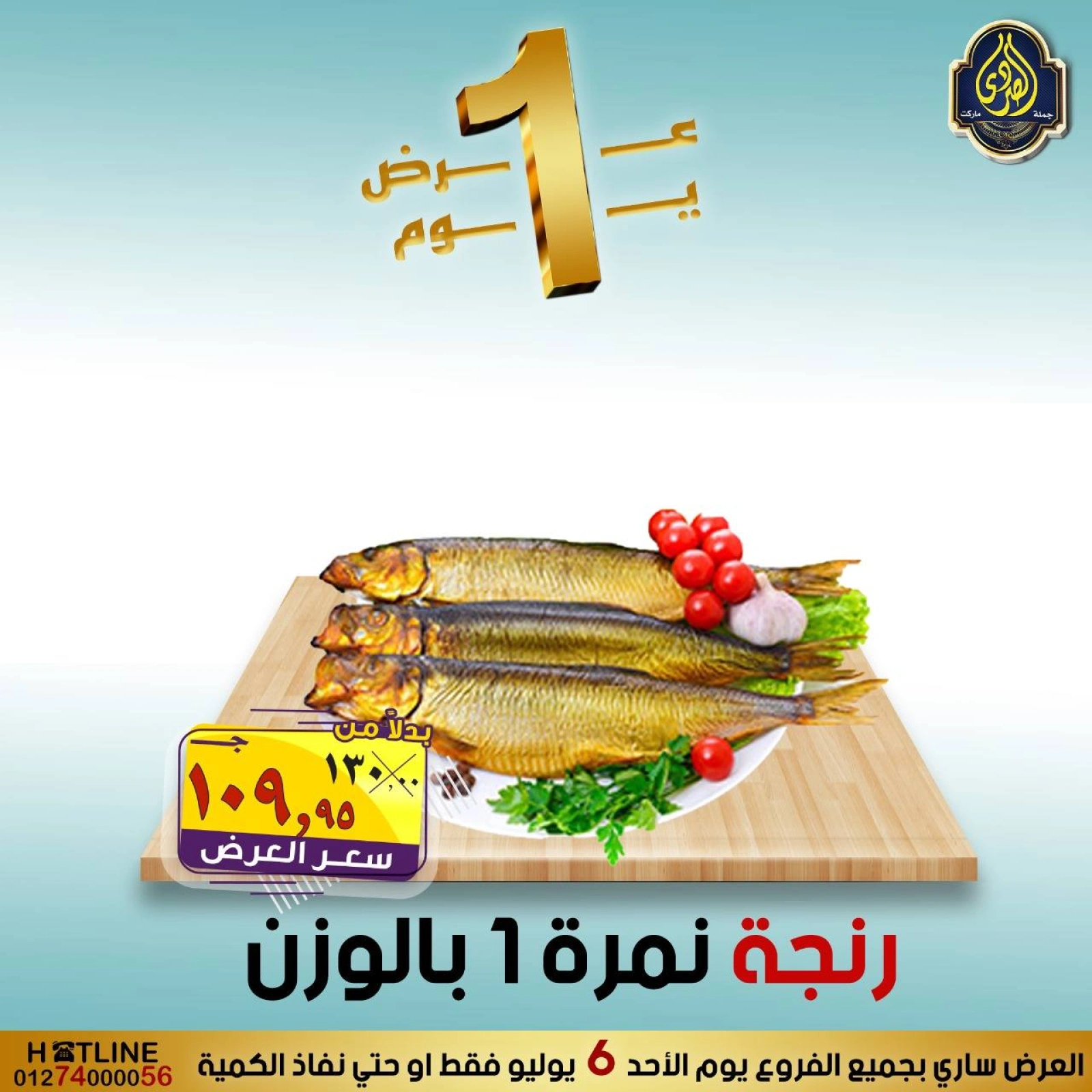 Page 2 |One day offers at El Sorady market Egypt