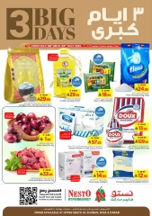 Page 1 |Big Days Offers at Nesto Saudi Arabia