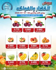 Page 3 |Vegetable and fruit offers at Sabah Al Ahmad co-op Kuwait