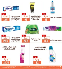 Página 15 |Ofertas de fin de semana en Mercados de Ghallab Egipto