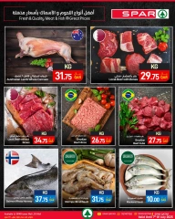 Página 2 |Nuevas ofertas en SPAR Katar