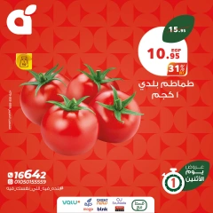 صفحة 7 |عروض يوم الإثنين لدي بنده مصر