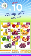 صفحة 1 |عروض 10 ريال لدي حصاد البساتين السعودية