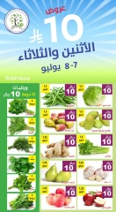 صفحة 5 |عروض 10 ريال لدي حصاد البساتين السعودية