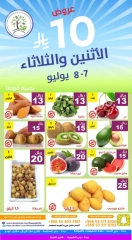 صفحة 3 |عروض 10 ريال لدي حصاد البساتين السعودية