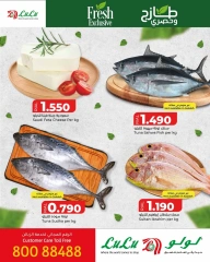 Página 2 |Ofertas frescas y exclusivas. en lulu Oman