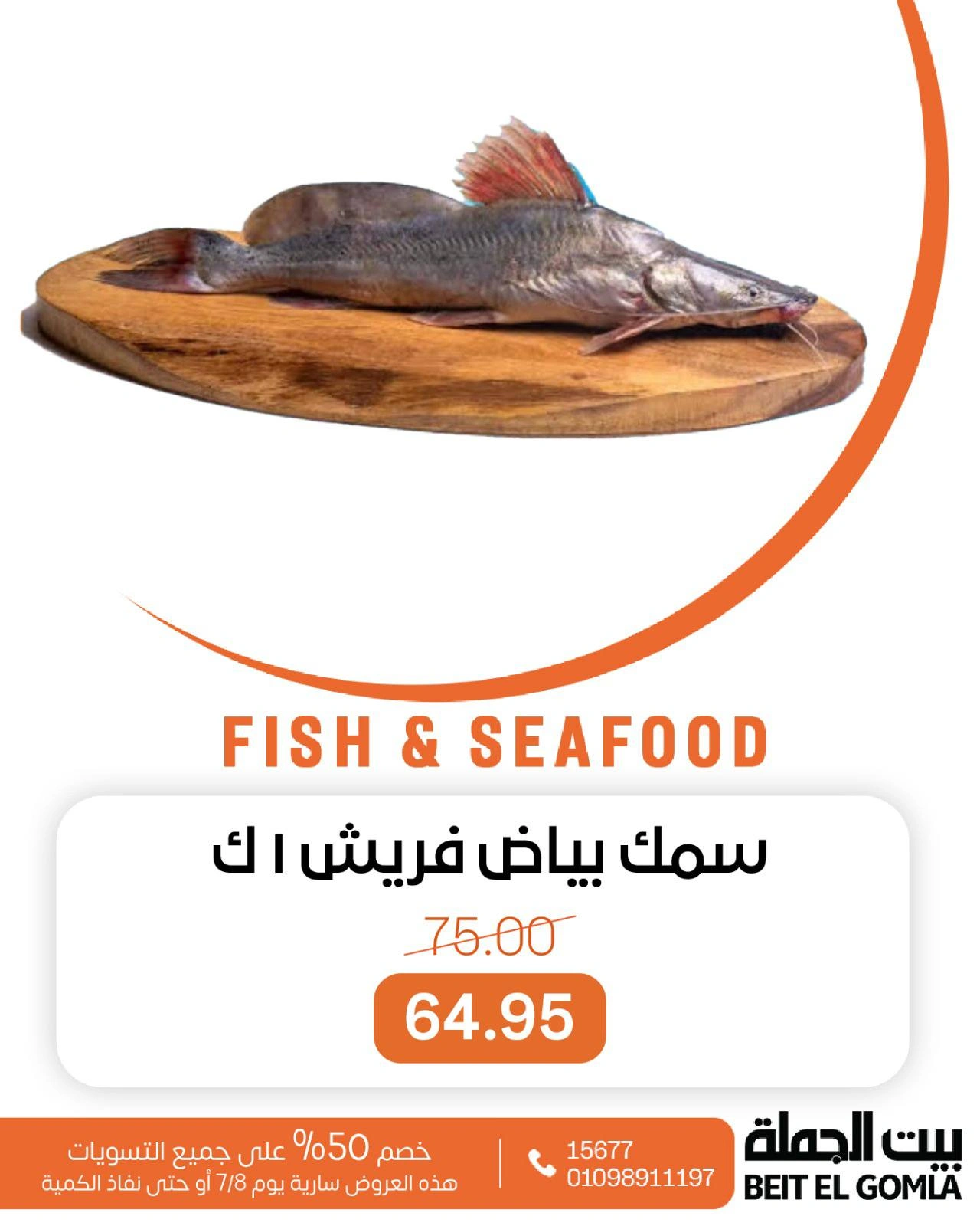 صفحة 7 |عروض الأسماك لدي بيت الجملة مصر