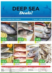 Página 2 |Ofertas frescas en supermercado Istanbul Emiratos Árabes Unidos