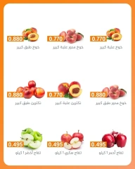 صفحة 5 |مهرجان الخضروات والفواكه لدي جمعية الرميثية التعاونية الكويت
