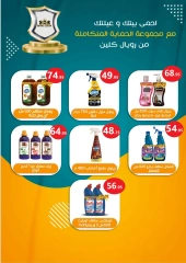 Page 42 |Special promotions at El Mahlawy market Egypt