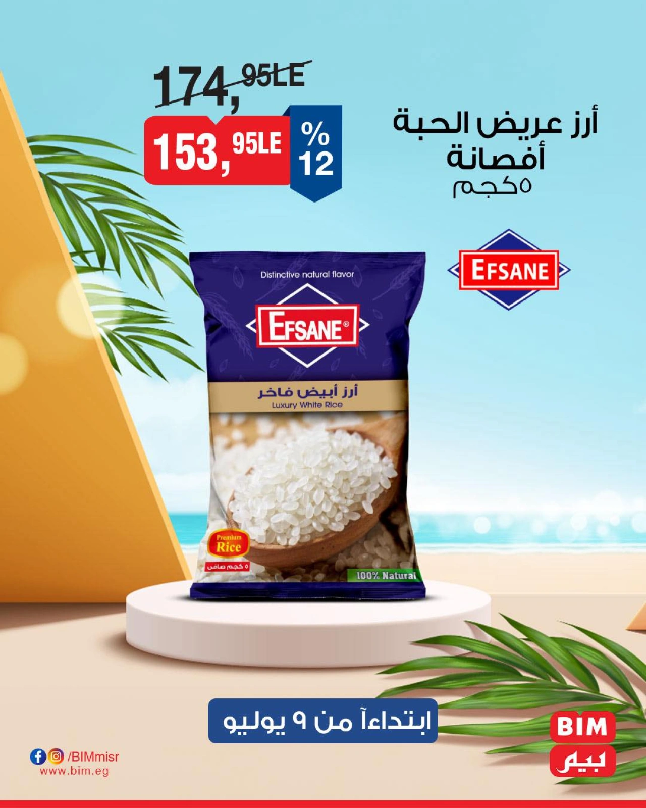 Página 8 |Ofertas con descuento en Mercado BIM Egipto