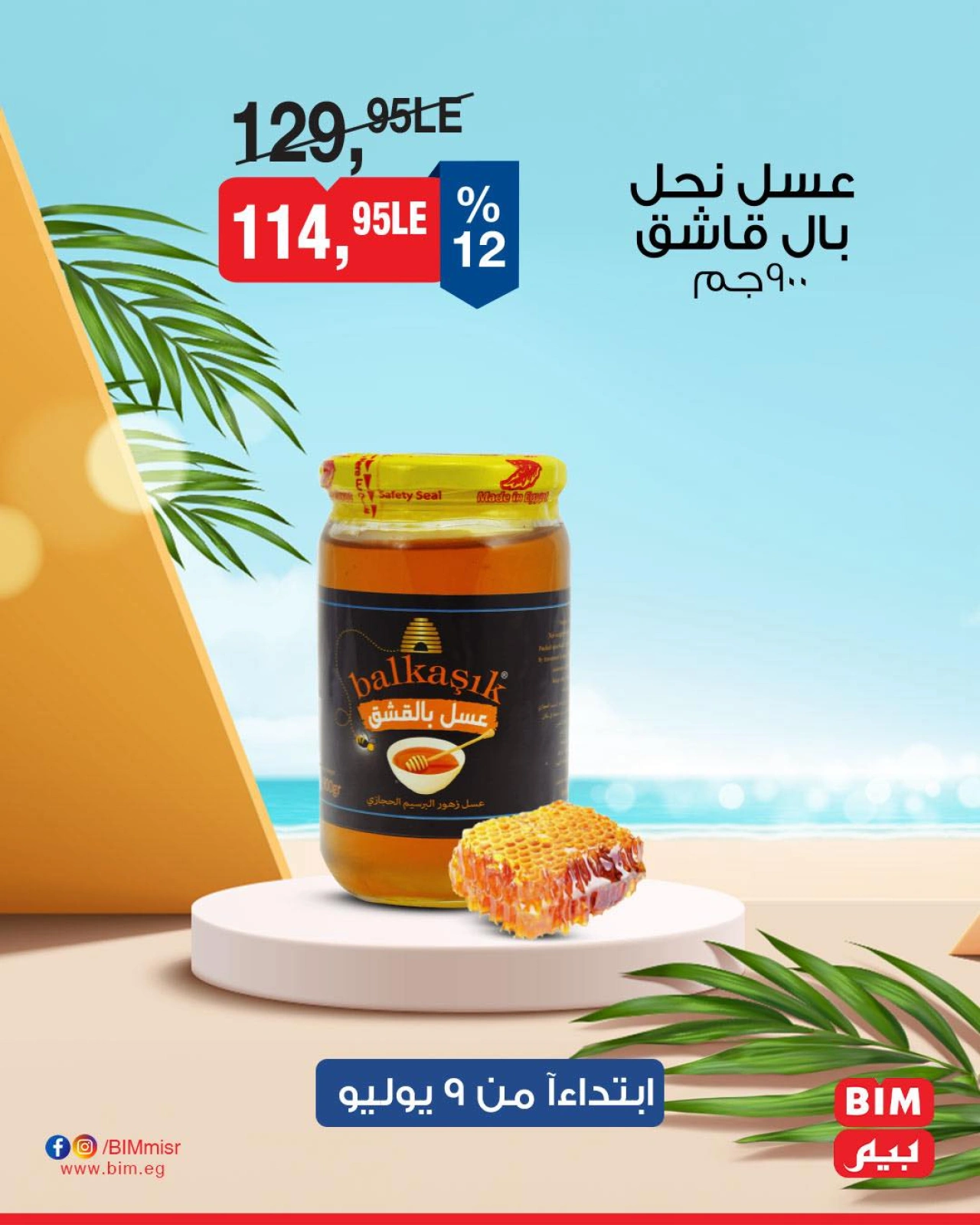 Página 12 |Ofertas con descuento en Mercado BIM Egipto