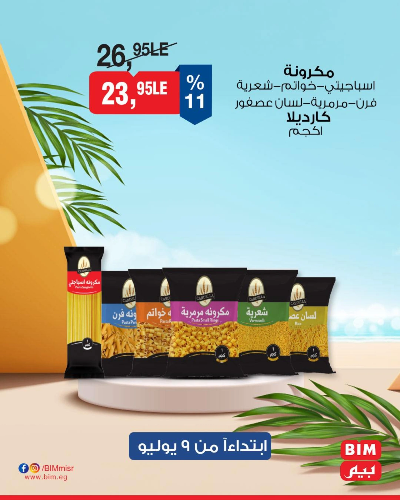 Página 6 |Ofertas con descuento en Mercado BIM Egipto