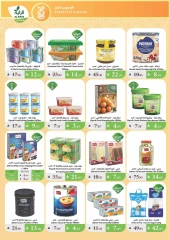 Page 17 |Summer Deals at Al Rayah Market Saudi Arabia