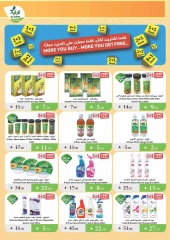 Page 13 |Summer Deals at Al Rayah Market Saudi Arabia