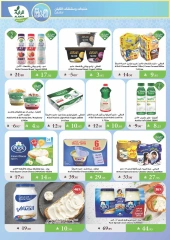 Page 7 |Summer Deals at Al Rayah Market Saudi Arabia