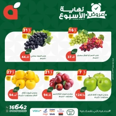 صفحة 3 ضمن عروض نهاية الأسبوع في بنده مصر