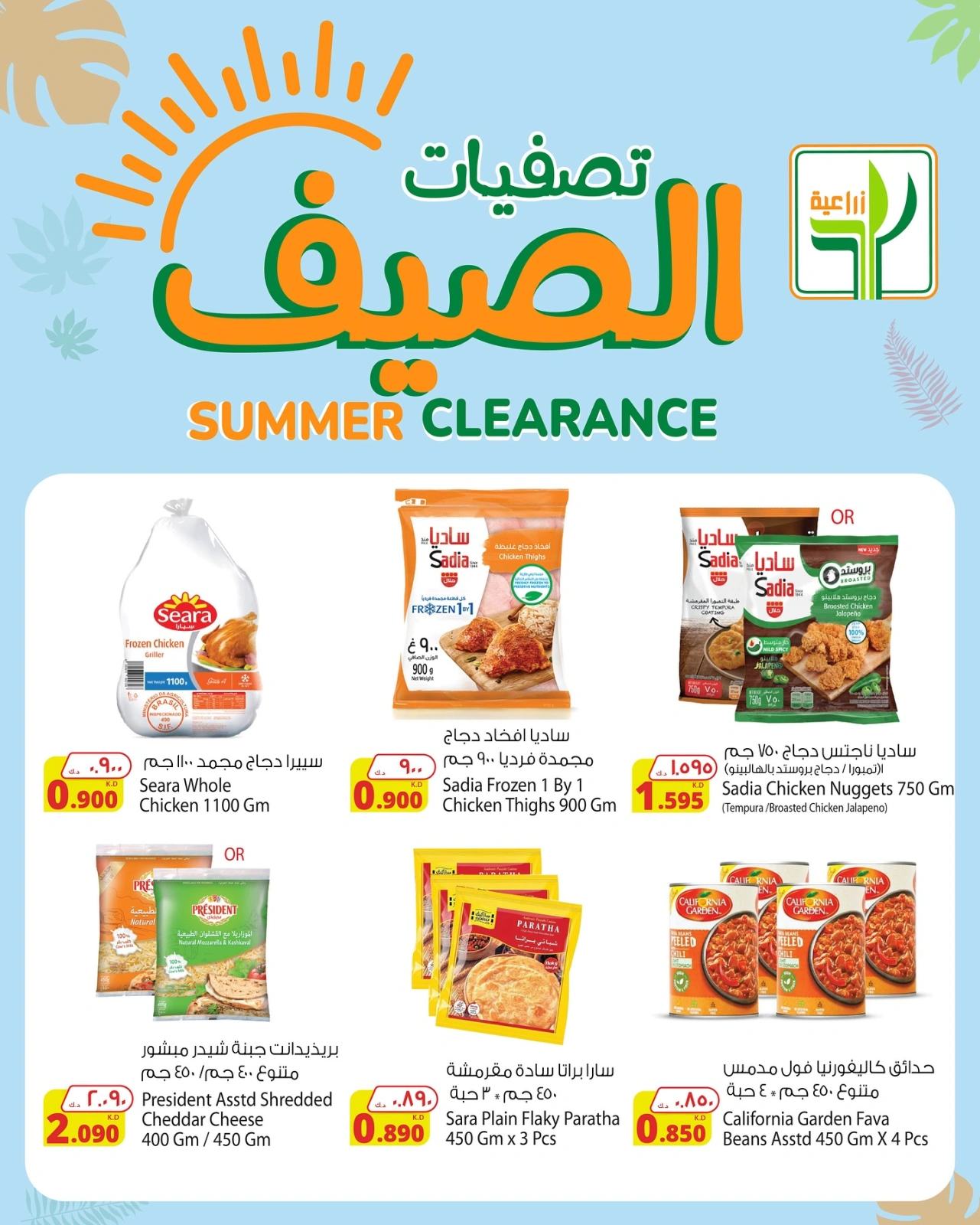 صفحة 3 |تصفيات الصيف لدي شركة المنتجات الزراعية الغذائية الكويت
