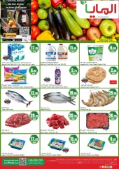 Page 1 |Fresh offers at Al Maya supermarket UAE