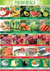 Page 2 |Crazy Deals at City flower Saudi Arabia