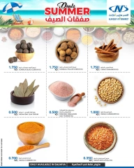 Page 8 |Summer Deals at Al Nasser Kuwait