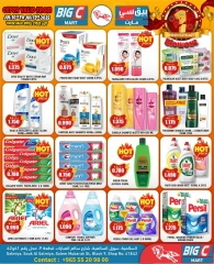 Page 4 |Anniversary offers at Big C Hypermarket Kuwait