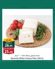 Page 7 |Offres d'achat et d'économies doubles EN Spinneys Egypte