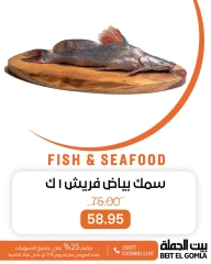 صفحة 9 |عروض الأسماك لدي بيت الجملة مصر
