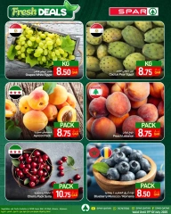 صفحة 2 |صفقات طازجة لدي سبار قطر