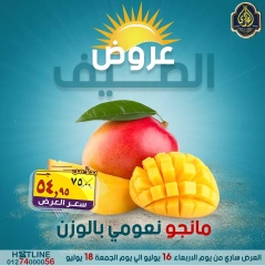 صفحة 35 |عروض الصيف لدي الصردى جملة ماركت مصر