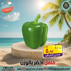 صفحة 46 |عروض التوفير لدي الصردى جملة ماركت مصر
