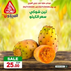 صفحة 3 |صفقات طازجة لدي المحلاوى ماركت مصر