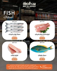 صفحة 8 |عروض الويك اند لدي بيت الجملة مصر