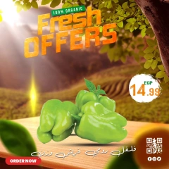 صفحة 14 |عروض طازجة لدي الحسينى سوبر ماركت مصر