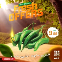 صفحة 7 |عروض طازجة لدي الحسينى سوبر ماركت مصر