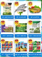 صفحة 9 |صفقة صيفك طراوه لدي أسواق بدر مصر