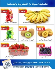 صفحة 3 |عروض الخضار والفواكه لدي جمعية الشامية والشويخ الكويت
