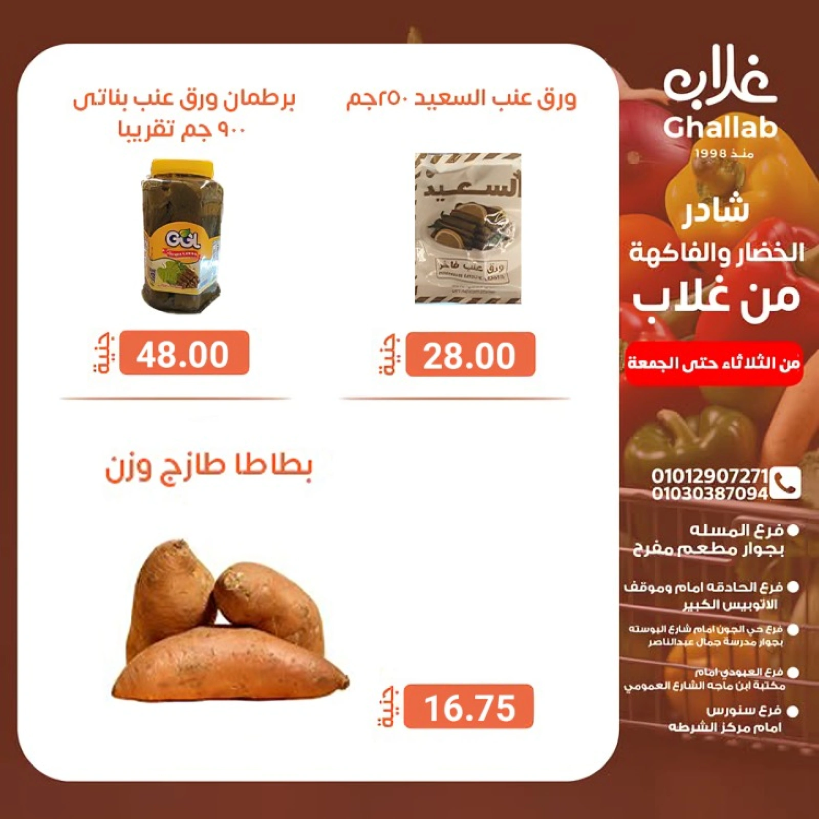 صفحة 8 |شادر الخضار والفاكهة لدي أسواق غلاب مصر