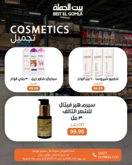 صفحة 3 |عيدميلاد بيت الجملة لدي بيت الجملة مصر