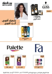 صفحة 7 |عيدميلاد بيت الجملة لدي بيت الجملة مصر