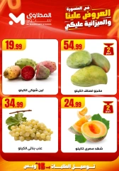 صفحة 8 |العروض علينا و الميزانية عليكي لدي المحلاوى ستورز مصر
