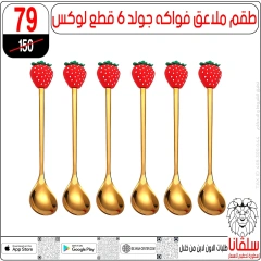 صفحة 4 |عروض تحطيم الأسعار لدي سلڤانا سنتر مصر
