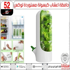 صفحة 54 |عروض تحطيم الأسعار لدي سلڤانا سنتر مصر