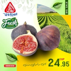 Página 10 en Nuevas ofertas en Mercado El Mahlawy Egipto