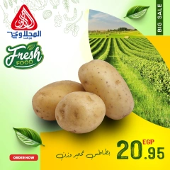 Página 6 en Nuevas ofertas en Mercado El Mahlawy Egipto