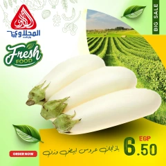 Página 12 en Nuevas ofertas en Mercado El Mahlawy Egipto