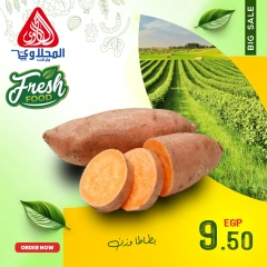 Página 1 en Nuevas ofertas en Mercado El Mahlawy Egipto