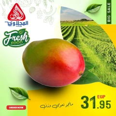 Página 4 en Nuevas ofertas en Mercado El Mahlawy Egipto