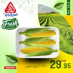 Página 13 en Nuevas ofertas en Mercado El Mahlawy Egipto