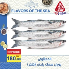 Página 3 en Ofertas de pescado en Mercado El Mahlawy Egipto